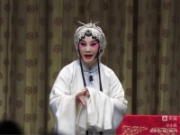 評劇秦香蓮見皇姑視頻(評劇秦香蓮第八場見皇姑對唱一折)