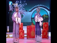 豫劇苗文華專場(豫劇苗文華排練視頻)