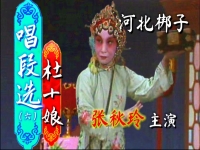 河北梆子金玉芳唱段(河北梆子演員金玉芳的簡歷)