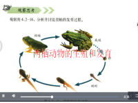 河南墜子郭文秋(墜子河南墜子郭永章)