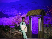 評(píng)劇人面桃花選段去年今日從此過(guò)(評(píng)劇人面桃花去年今日從此過(guò)艷銘杰)