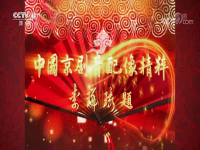 中央戲劇頻道(中央戲曲頻道節目)