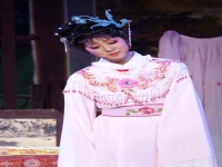阿小越劇團名單(2021年浙江省阿小越劇團演出)