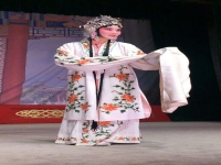 豫劇大全豫劇全場(chǎng)(豫劇大全豫劇全場(chǎng)戲經(jīng)典豫劇新版白蛇傳虎美玲)