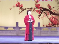 河南省曲劇名家名段視頻(河南曲劇名家名段精選演唱會)