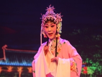 河南曲劇婚姻大事(河南曲劇婚姻大事唱段)