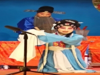 無為廬劇完整版(安徽無為廬劇現代廬劇)