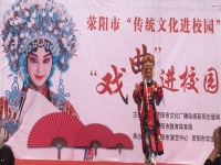 戲曲表演四功是指(戲曲表演的四功五法是什么)