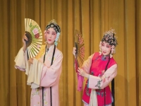 蘇州有什么戲曲(蘇州什么戲曲劇種)