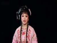 越劇百年名家名段演唱會(越劇名家名段演唱會 視頻)