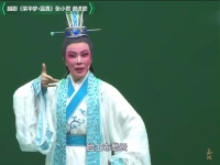小百花越劇團(tuán)團(tuán)長(小百花越劇團(tuán)團(tuán)長是誰演的)