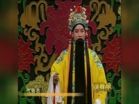 豫劇八大紅臉王(豫劇八大紅臉王都是誰)