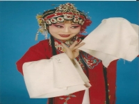 河北梆子大全名家名段(河北梆子大全名家名段演唱會)