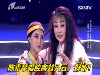 陳素琴上黨梆子大全(上黨梆子陳素琴梅花獎比賽視頻)