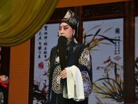 見皇姑晉劇全本(見皇姑晉劇全本唱詞)