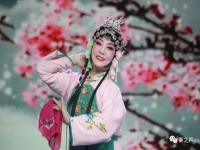 秦腔名旦張寧簡介(秦腔名旦張寧簡介圖片)