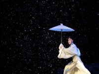 錫劇珍珠塔選段跌雪(錫劇珍珠塔選段跌雪王彬彬演唱)