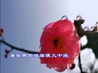 淮劇哭墳原唱(非?？嗟幕磩】迒?