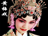 好聽(tīng)?wèi)蚯笕曨l(最好聽(tīng)的戲曲十大唱段)