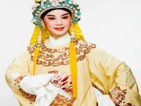 潮劇真假駙馬(潮劇真假駙馬全劇)