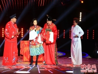 豫劇王娜娜七品芝麻官(豫劇七品芝麻官選段)