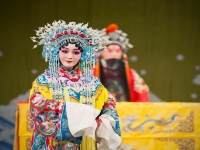 京劇來自中國哪個地方(京劇來源于四個地方分別是)