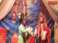 曲劇血淚鴛鴦全場(chǎng)戲詞(曲劇淚灑相思地全場(chǎng)戲戲詞)