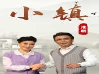 裔小萍的所有淮劇視頻(裔小萍的所有淮劇視頻斷橋)