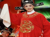 黃梅戲女駙馬韓再芬版免費下載(黃梅戲女駙馬韓再芬版舞臺劇場次)