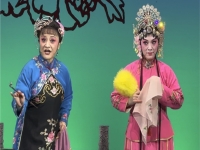 評劇花為媒報花名伴奏(評劇花為媒報花名伴奏g調)