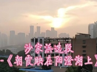 京劇沙家浜選段朝霞映在陽澄湖上(京劇沙家浜選段朝霞映在陽澄湖上主持詞)