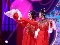 桃花扇黃梅戲精彩唱段(黃梅戲桃花扇主題歌曲普)