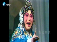 張寶英的豫劇桃花庵(張寶英的豫劇桃花庵選段)