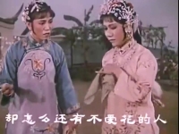 趙麗蓉評劇唱段(趙麗蓉評劇唱段有哪些)