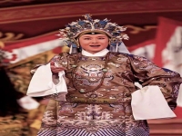 墜子五娥征西續集全集(墜子五娥征西第二部全集)