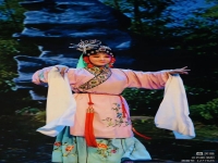 洛陽橋豫劇電影(洛陽橋豫劇電影全集)