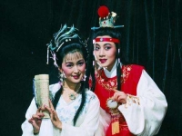 苦情黃梅戲全劇完整版(苦情黃梅戲全劇完整版播放)