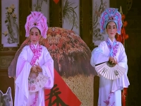 陳子心陳可心越劇(陳子心陳可心越劇特別季)