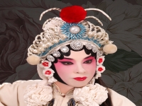 京劇中有哪些角色(京劇中有哪些角色分別是什么)