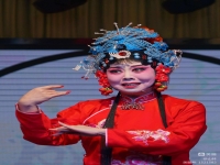 菏澤棗梆戲曲大全r(菏澤棗梆蝴蝶杯滿江中)