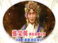 豫劇電影包青天張寶英(豫劇電影包青天張寶英主演全場)