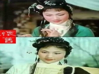王文娟徐玉蘭越劇紅樓夢(mèng)全集(越劇紅樓夢(mèng)經(jīng)典唱段王文娟徐玉蘭)