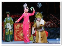 豫劇抬花轎探病一折(豫劇抬花轎探病一折伴奏)