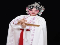 豫劇名家劉法印唱腔專輯(豫劇名家劉法印唱腔專輯歌曲)