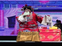 包含豫劇金不換視頻大全的詞條