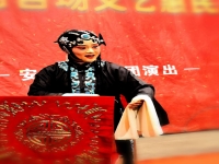 素雅青年豫劇團(河南素雅青年豫劇團)