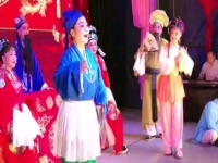 廬劇盛小五演唱(廬劇盛小五全集視頻免費下載)