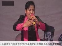 豫劇張曉英簡介(豫劇張曉英簡介資料)