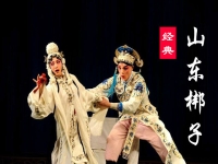 山東梆子雷振海征北全場(chǎng)(豫劇雷振海征北刀劈三關(guān)威名大)