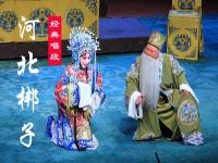河北梆子我楊門伴奏(河北梆子我楊門投宋中心赤膽)